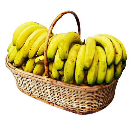 BANANA BASKET