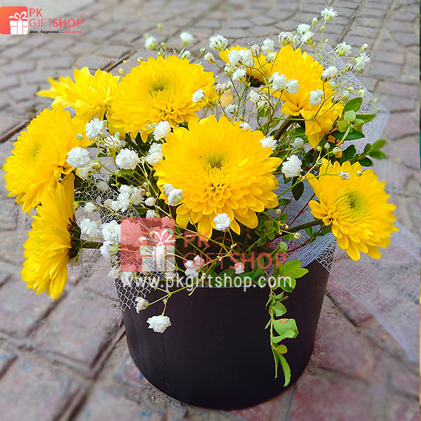 BEAUTIFUL YELLOW DAISY FLOWERS