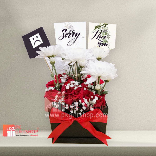 SPECIAL SORRY GIFT